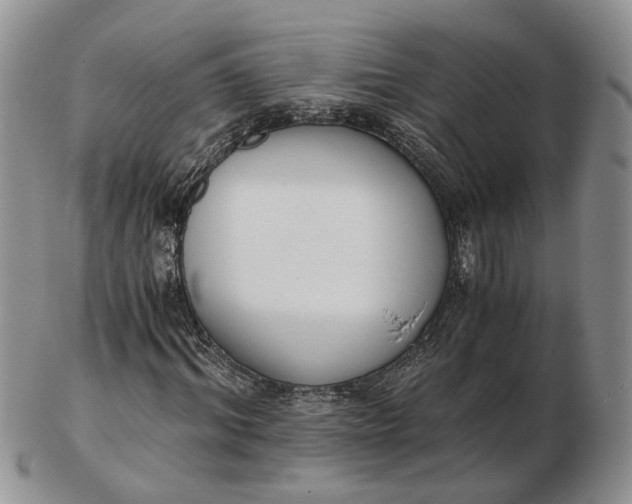 X0000102800964200809021133