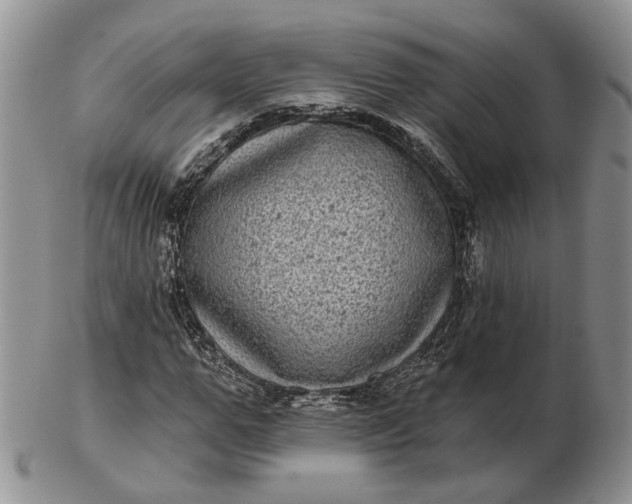 X0000102800967200809021133