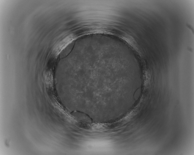 X0000102800969200809021133