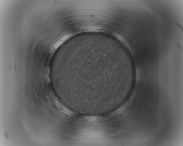 X0000102800970200809021133