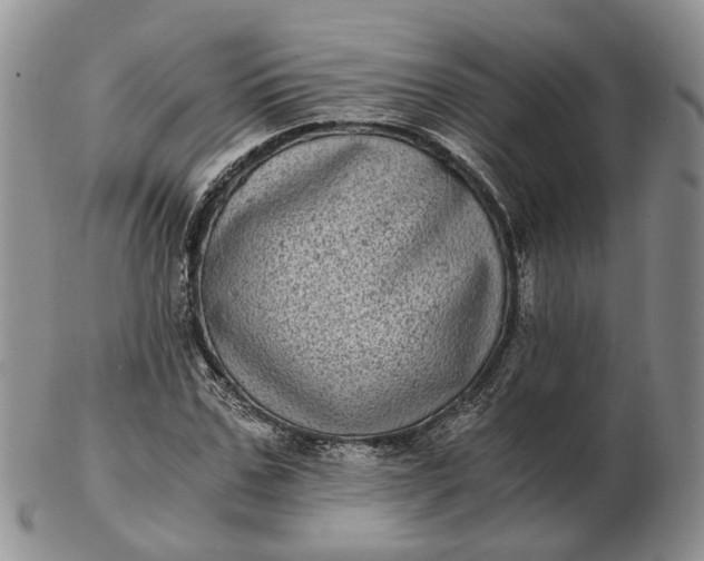 X0000102800971200809021133