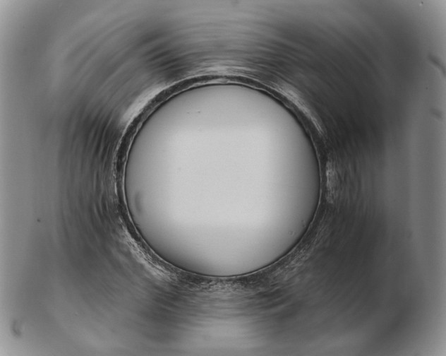 X0000102800972200809021133