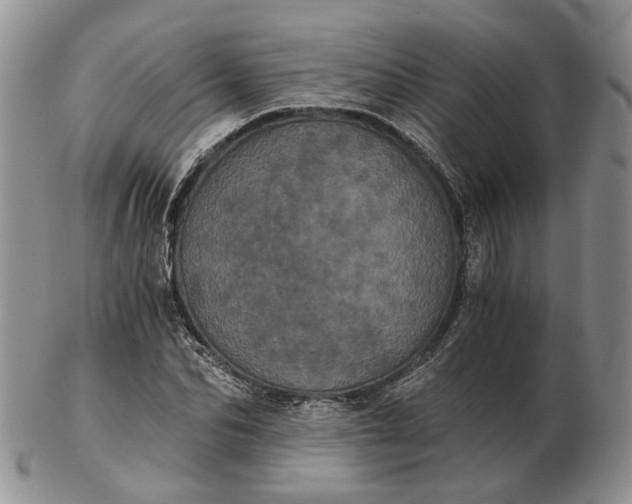 X0000102800974200809021133