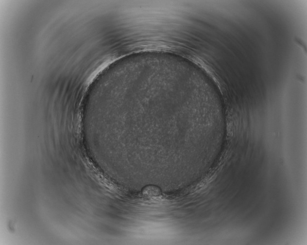 X0000102800975200809021133