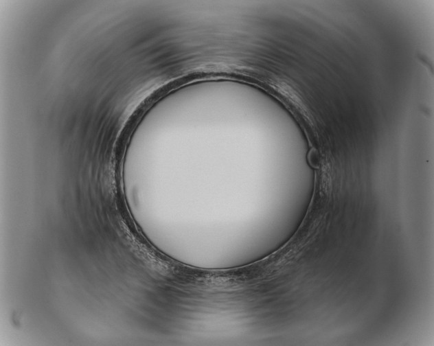 X0000102800976200809021133