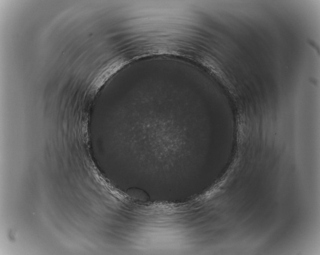 X0000102800977200809021133