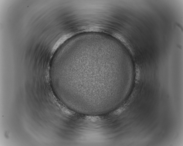 X0000102800978200809021133