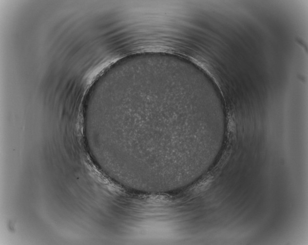 X0000102800979200809021133