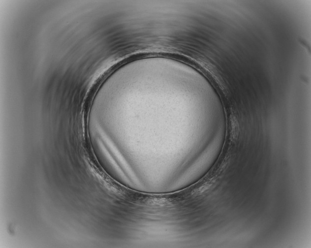 X0000102800982200809021133