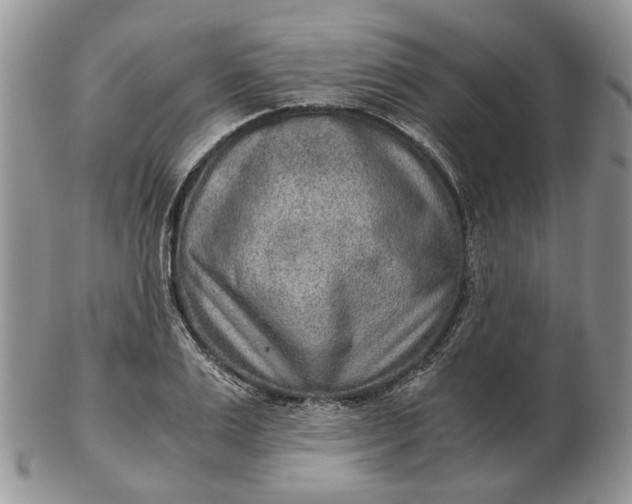 X0000102800983200809021133