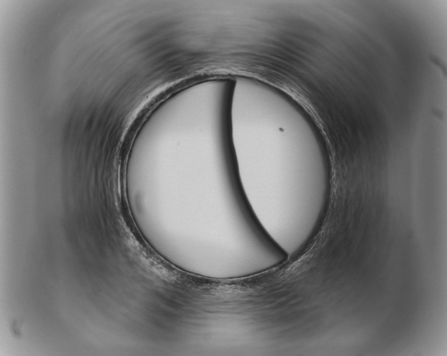 X0000102800984200809021133