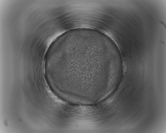 X0000102800987200809021133