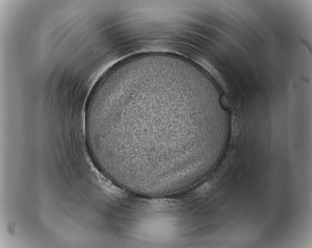 X0000102800988200809021133