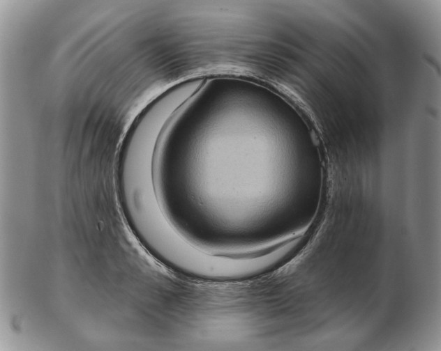 X0000102800989200809021133