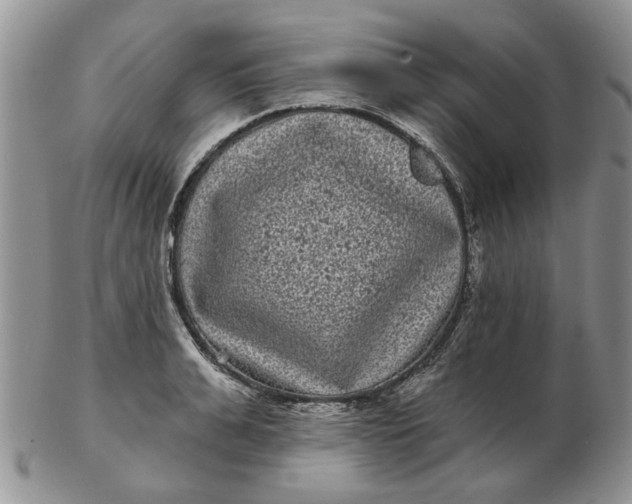 X0000102800991200809021133