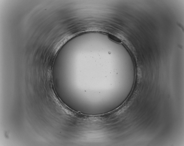 X0000102800993200809021133