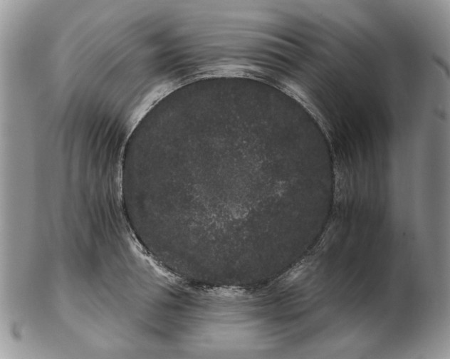 X0000102800994200809021133