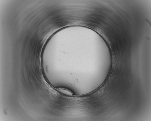 X0000102800996200809021133