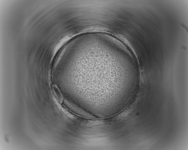 X0000102800997200809021133