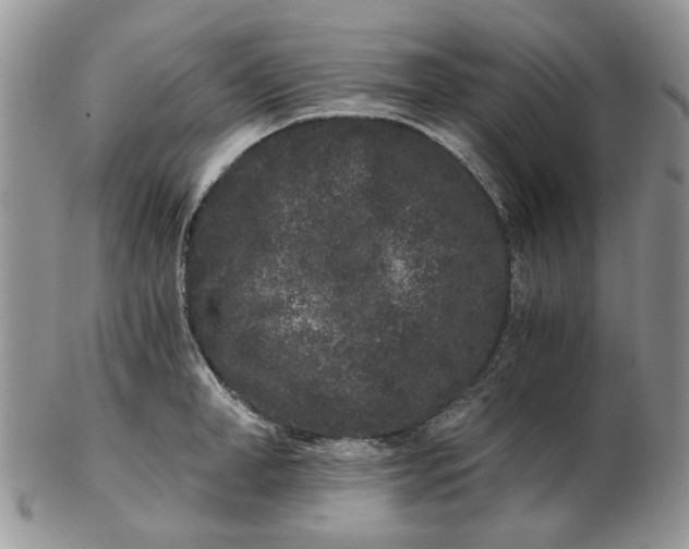 X0000102800998200809021133