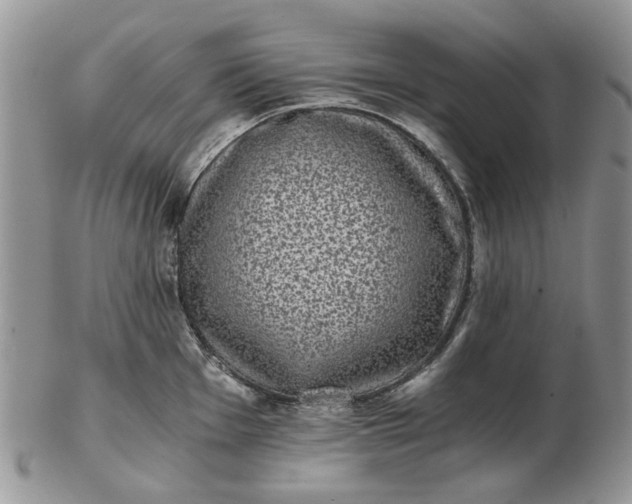 X0000102801001200809021132