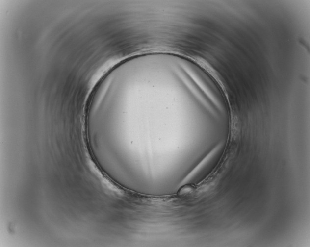 X0000102801005200809021132