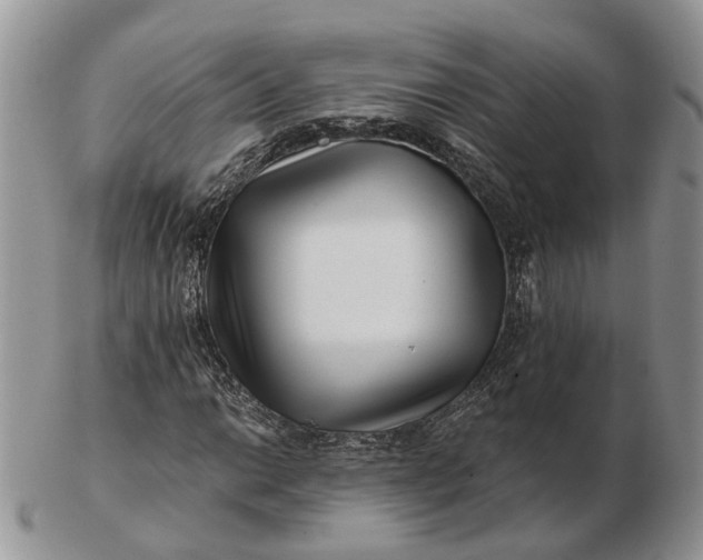 X0000102801014200809021132