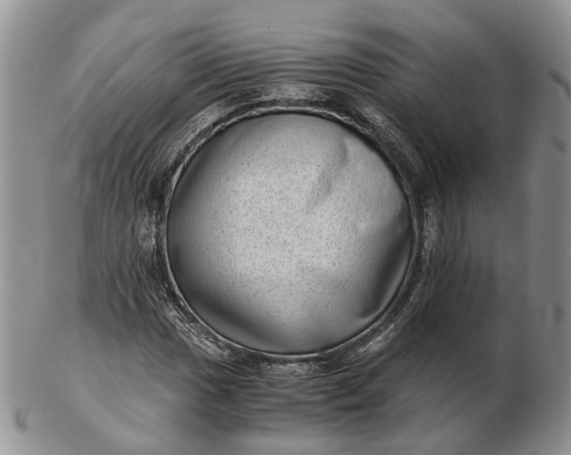 X0000102801017200809021132