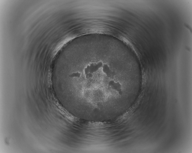 X0000102801019200809021132