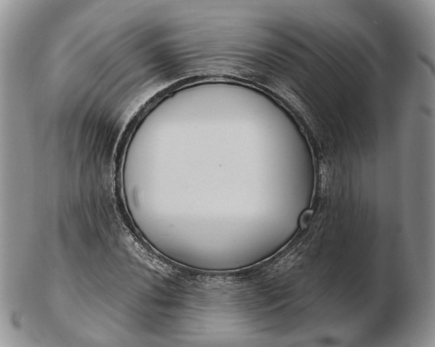 X0000102801020200809021132