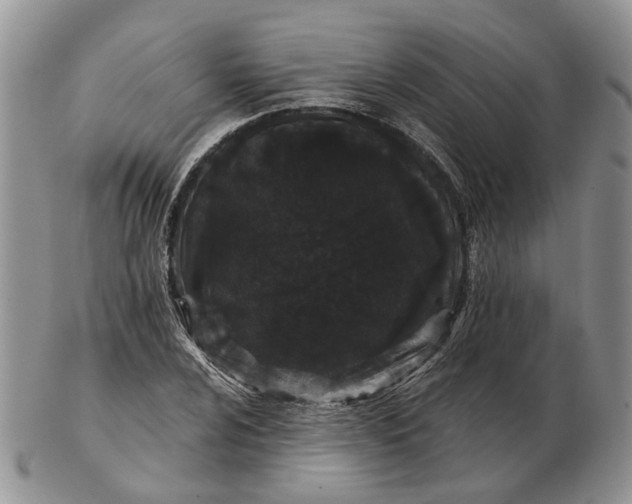 X0000102801024200809021132