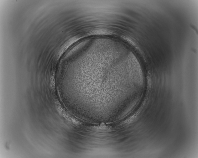 X0000102801025200809021132