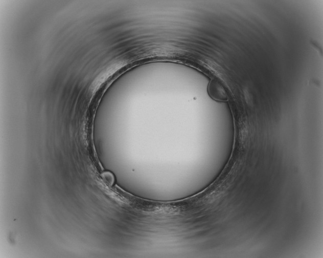 X0000102801026200809021132