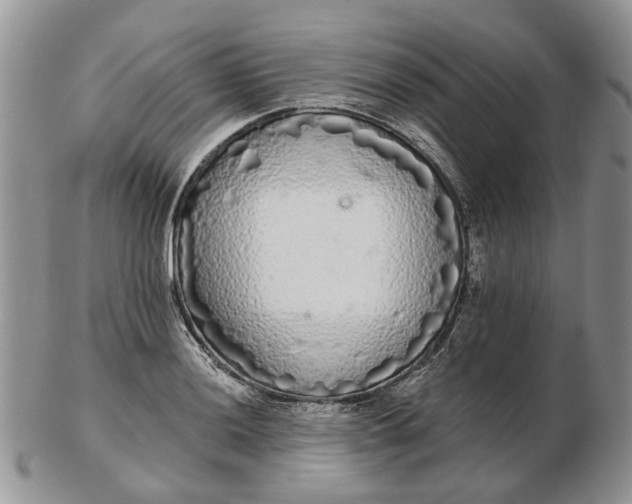 X0000102801036200809021132