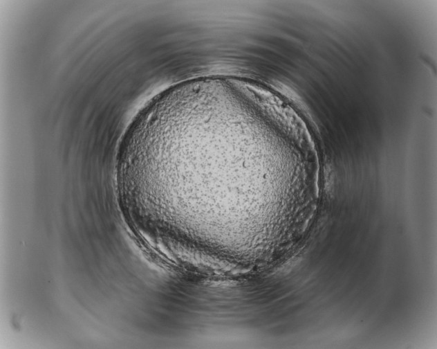 X0000102801043200809021132