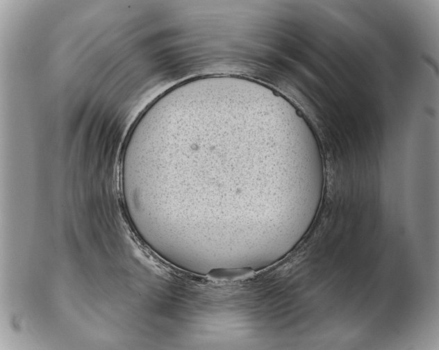 X0000102801044200809021132