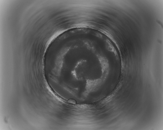 X0000102801045200809021132