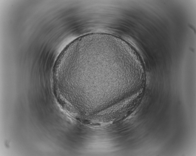 X0000102801048200809021132