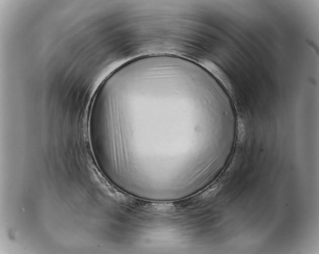 X0000102801052200809021132