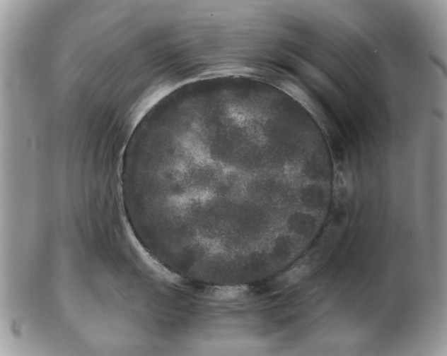 X0000102801055200809021132