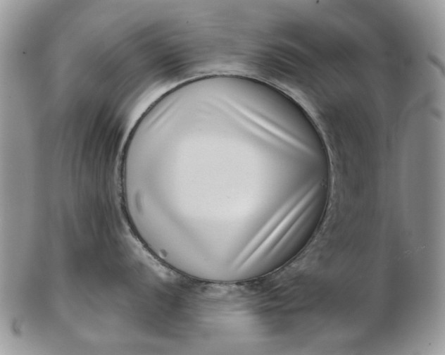 X0000102801056200809021132