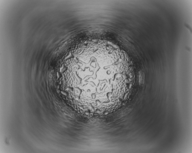 X0000102801059200809021132