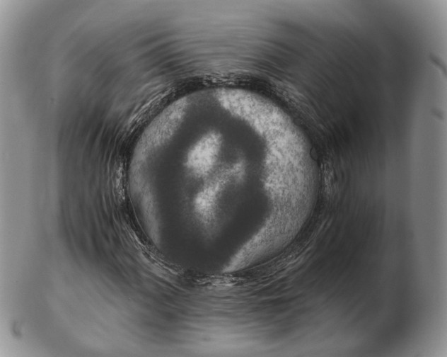 X0000102801060200809021132