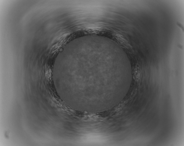 X0000102801061200809021131