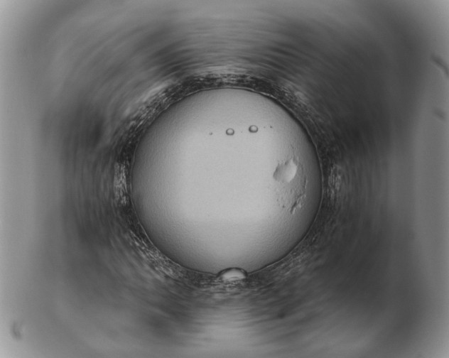 X0000102801062200809021131