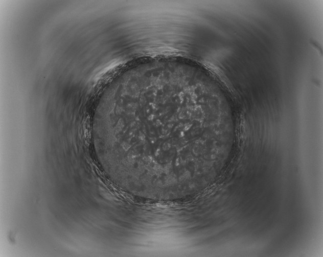 X0000102801063200809021131