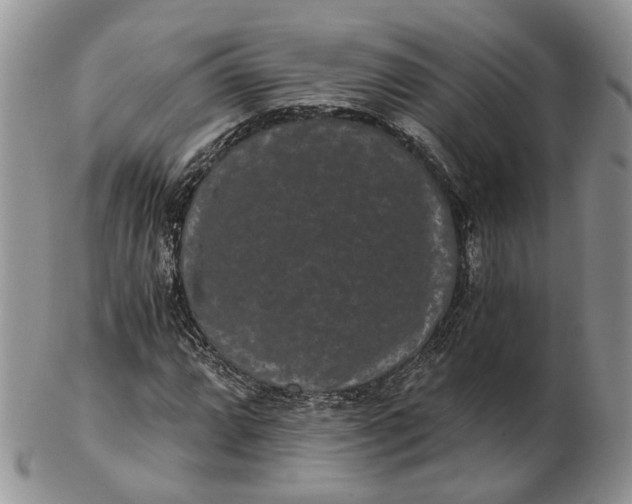 X0000102801064200809021131