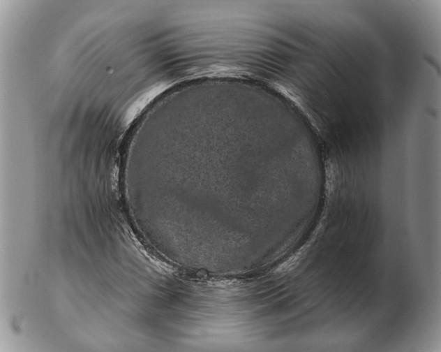 X0000102801066200809021131