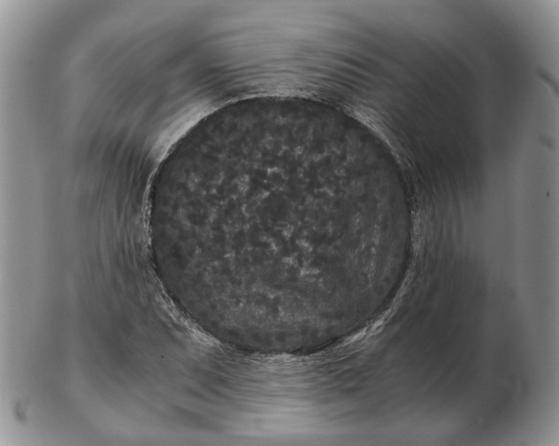 X0000102801071200809021131