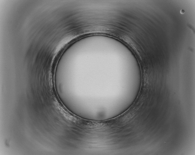 X0000102801072200809021131